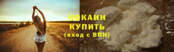 дживик Саяногорск