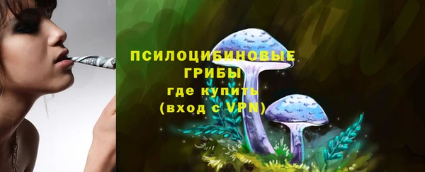 mdma Сафоново
