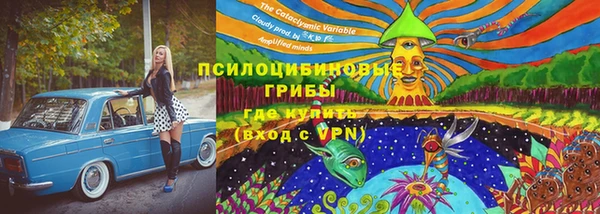 дживик Саяногорск